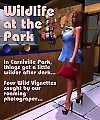 Wildlife In The Park - Cover